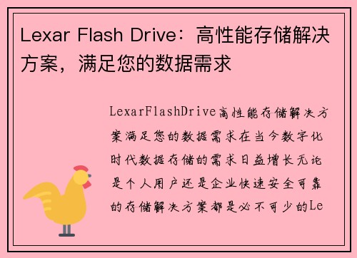 Lexar Flash Drive：高性能存储解决方案，满足您的数据需求